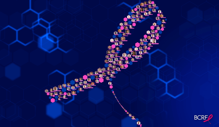 A SCREENSHOT OF THE VIRTUAL PROGRAM SHOWING A SELECTION OF BCRF INVESTIGATOR
