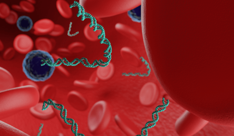 a rendering of a person's blood with different cells